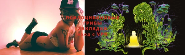 гидра Алзамай