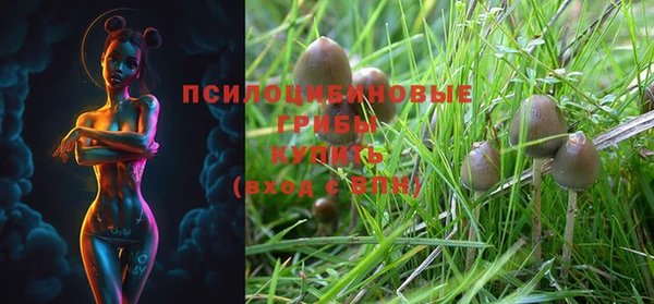 метадон Медвежьегорск