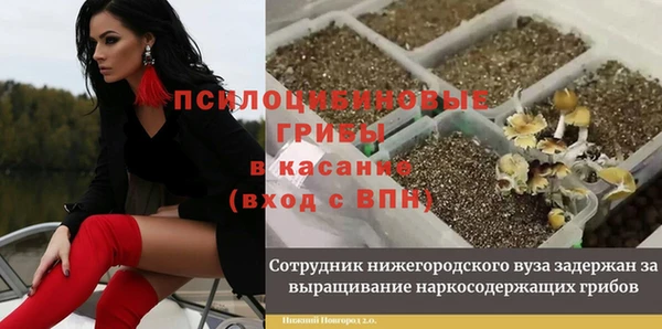 первитин Алексин